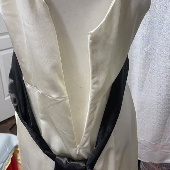 Appropriate Behavior prom dress size 11/12 - Picture 14 of 14